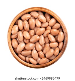 第一主板o1bz藏书阁使用方法：全面解析与实用技巧分享