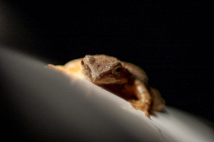 畅享VIP影院不卡免费在线观看，尽情享受高清影视盛宴