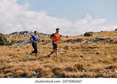 秘密通道宅基地：探索隐秘空间与自然和谐共生的理想选择