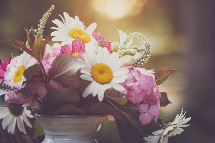 第一会所 入口：探索奢华体验的秘密通道与服务指南