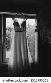 畅享my5519蜜芽cnn在线观看，尽览精彩内容