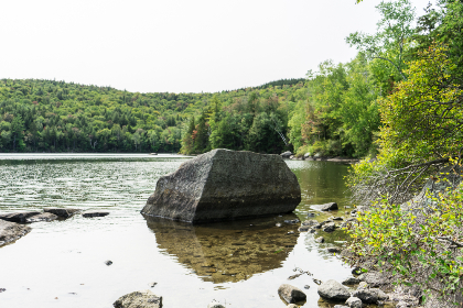 秘密花园电影：探索梦幻与现实交织的奇妙旅程